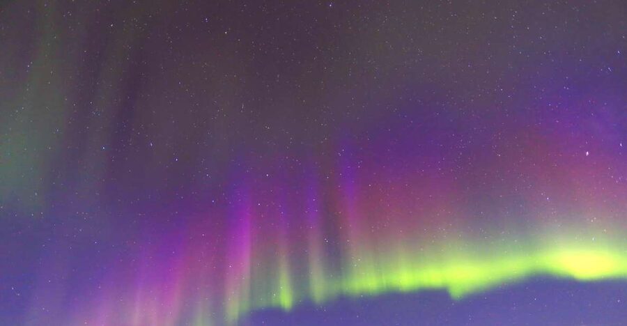 Fairbanks: Moonlight Dog Sled, Dinner & Northern Lights - Key points to know before booking