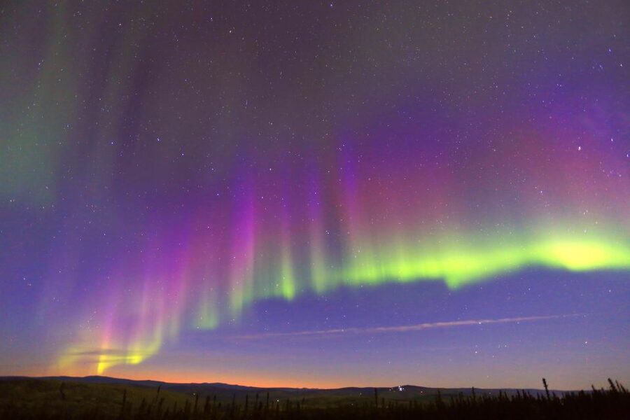 Fairbanks: Moonlight Dog Sled, Dinner & Northern Lights - Guides, stories, and the human side of the evening
