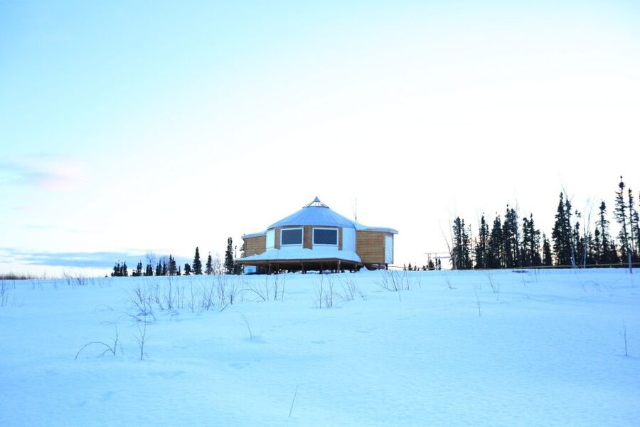 Fairbanks: Moonlight Dog Sled, Dinner & Northern Lights - Is $300 a fair price?