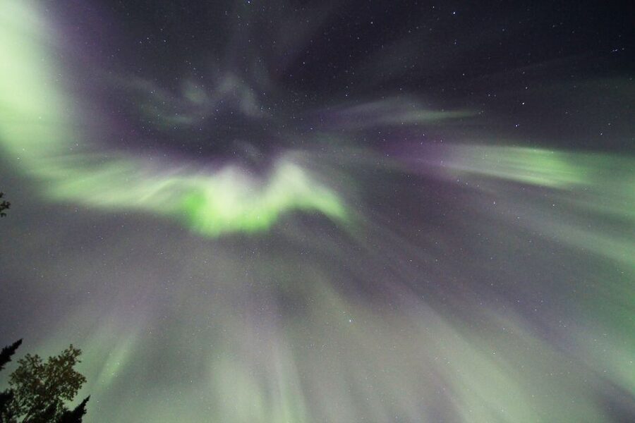 Fairbanks: Moonlight Dog Sled, Dinner & Northern Lights - Meeting the sled dogs before the ride