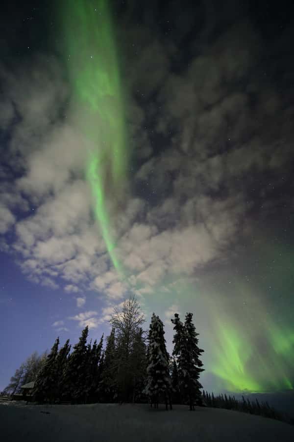 Fairbanks: Northern Lights Adventure with Photos & HOT PIZZA - Should you book the Electric Moose Studios tour?