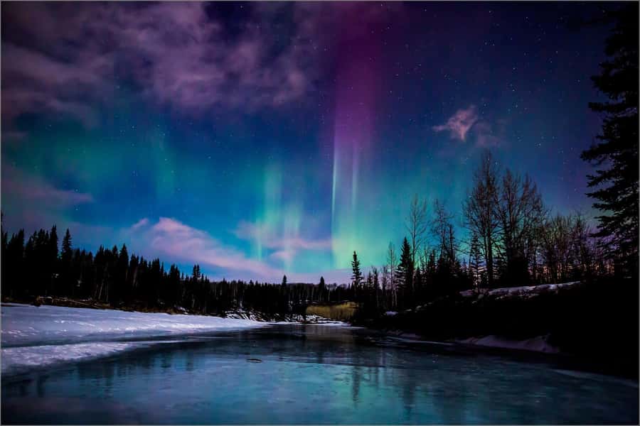 Fairbanks: Northern Lights and Chena Hot Springs Tour - Key points to know before you book