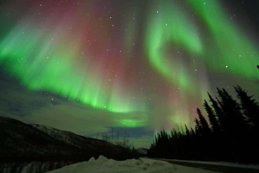 Fairbanks: Northern Lights and Chena Hot Springs Tour - Dinner and the race against the clock