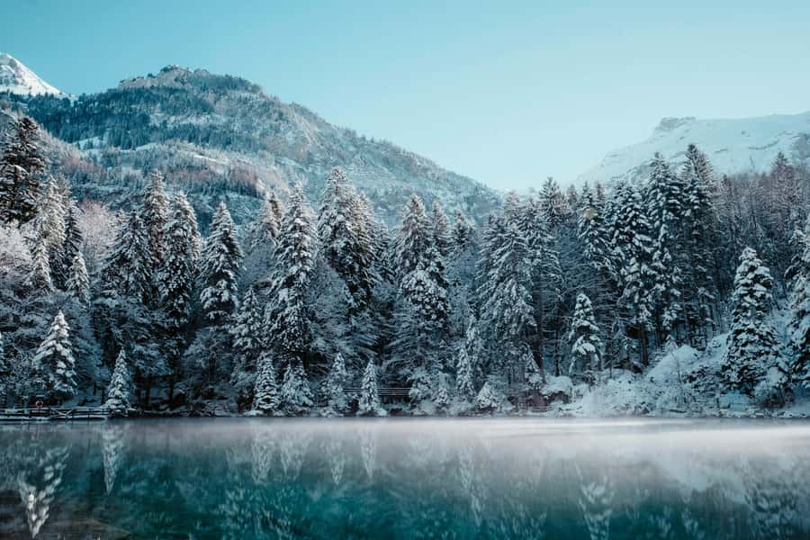 Fairbanks: Northern Lights and Chena Hot Springs Tour - Who should book this tour