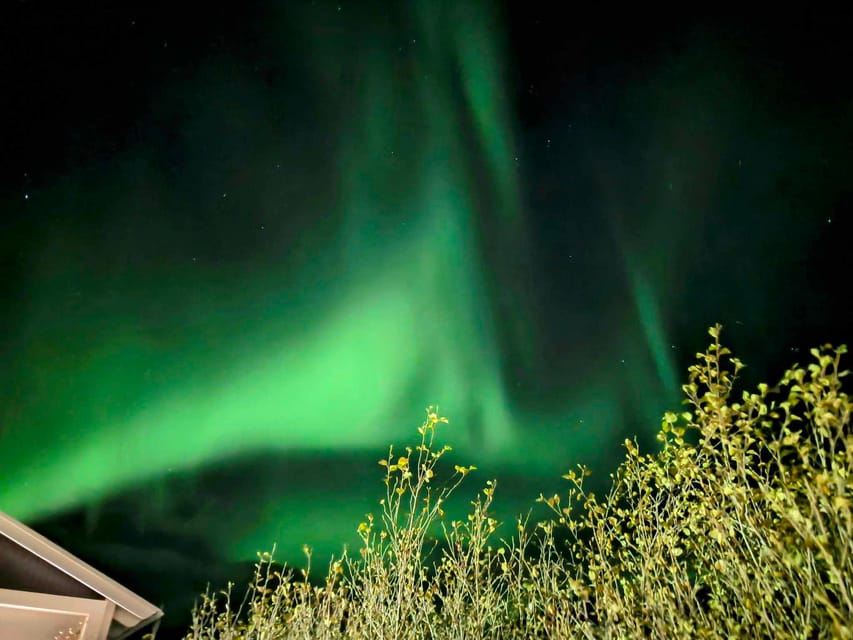 From Akureyri: Northern Lights Tour - Seeing the aurora, or not seeing it