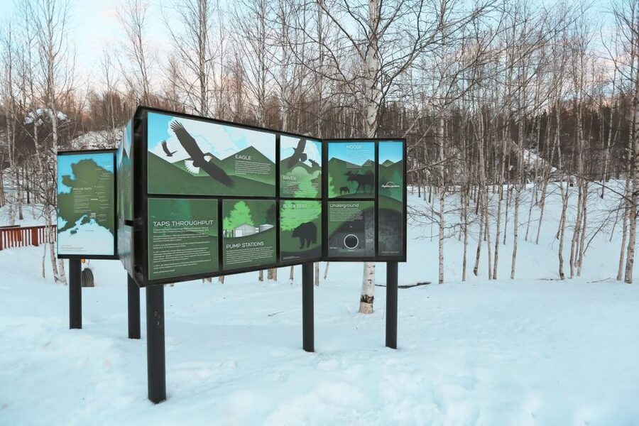 From Fairbanks: Arctic Circle Northern Lights Full-Day Trip - A Fairbanks Road Trip Built Around the Arctic Circle