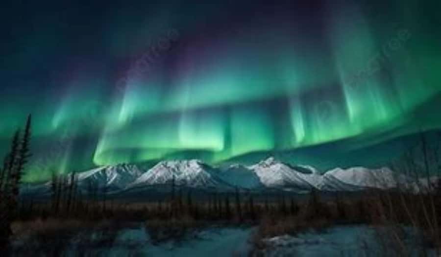 From Fairbanks: Northern Lights and Arctic Circle Tour - Reaching the Arctic Circle