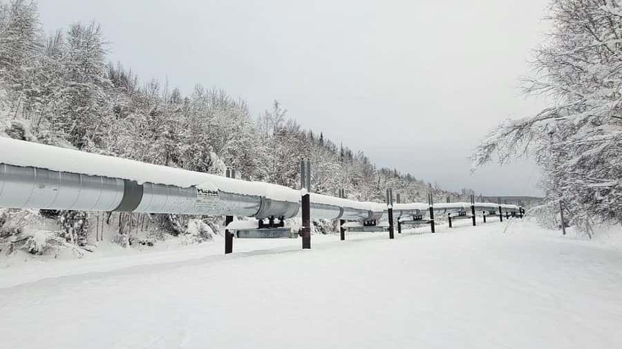 From Fairbanks: Northern Lights and Arctic Circle Tour - Food, pickup, and what to wear