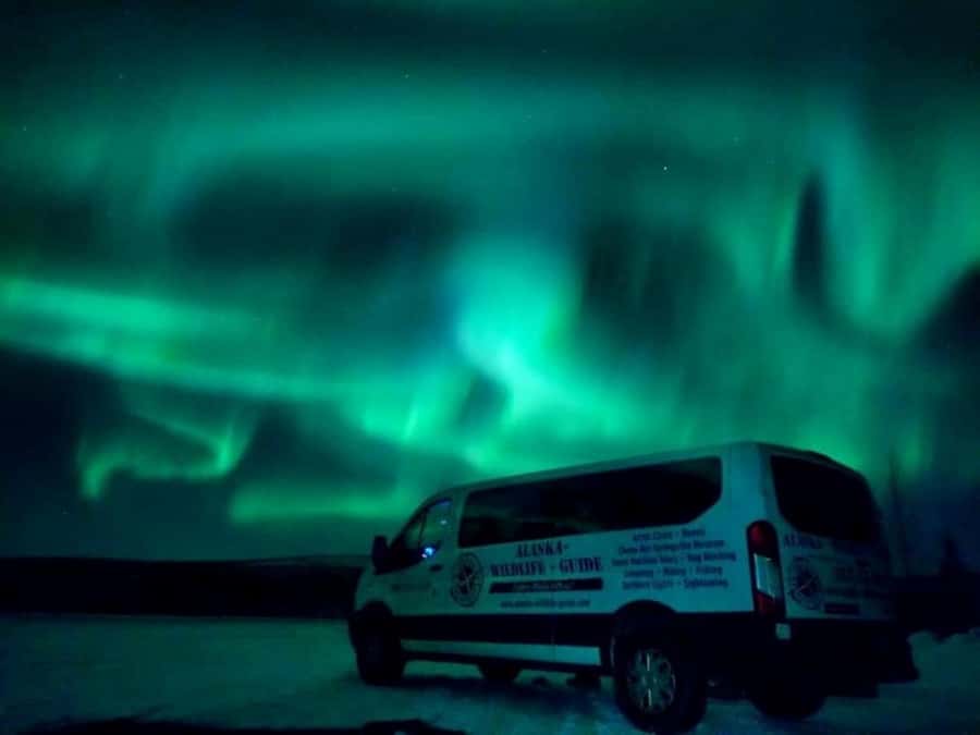 From Fairbanks: Northern Lights and Arctic Circle Tour - The Trans-Alaska Pipeline and Alaska’s working north