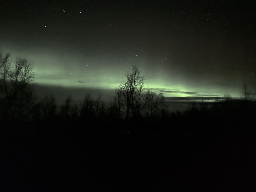 From Kiruna: Abisko National Park Northern Lights Tour - Abisko National Park after dark