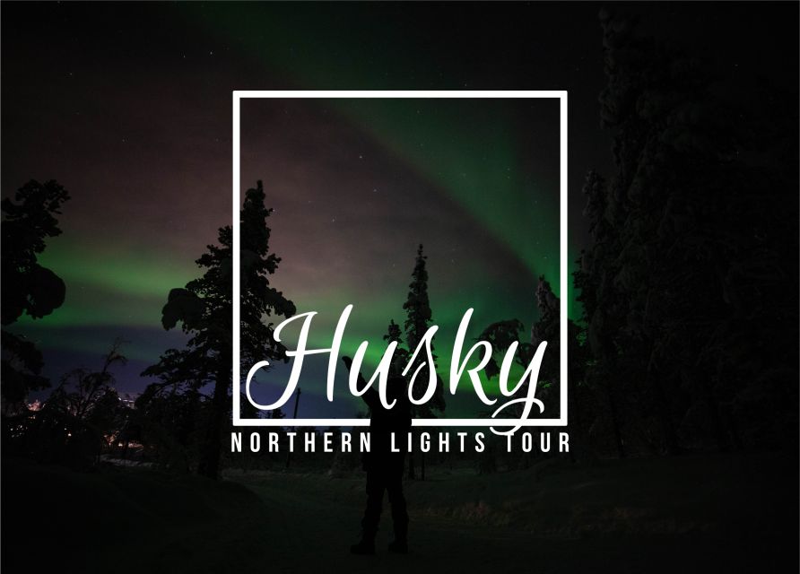 From Kiruna: Northern Lights Guided Husky Sledding Adventure - Why steering the sled changes the whole outing