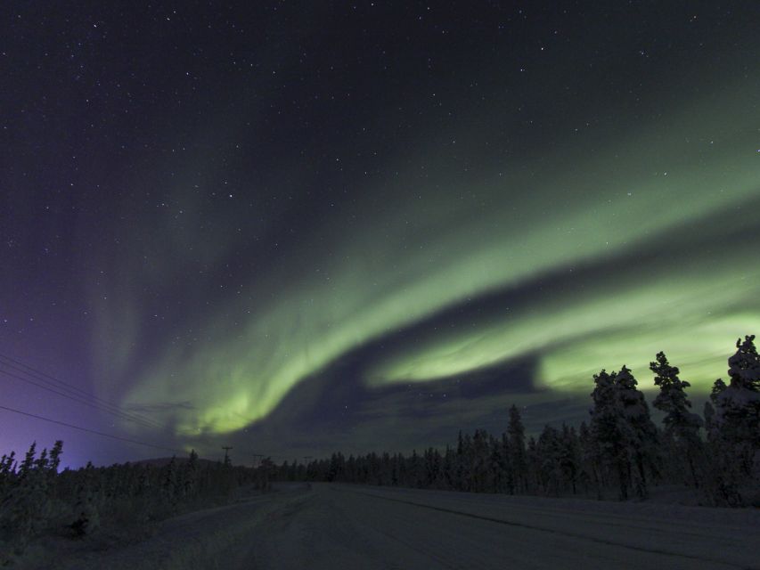 From Kiruna: Northern Lights Guided Husky Sledding Adventure - The 90-minute night ride through Swedish Lapland