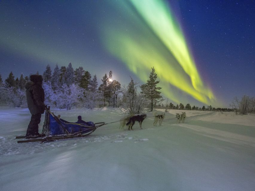 From Kiruna: Northern Lights Guided Husky Sledding Adventure - Swedish fika by the open fire