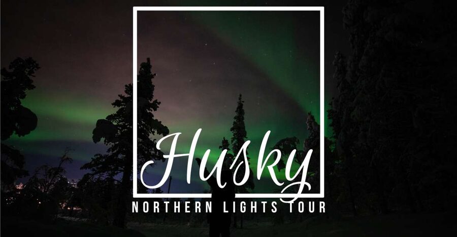 From Kiruna: Northern Lights Guided Husky Sledding Adventure - Meeting the huskies at Kalixforsbron