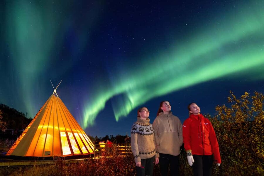 From Narvik: The Northern Lights Arctic Train Guided Tour - Returning to Narvik by train