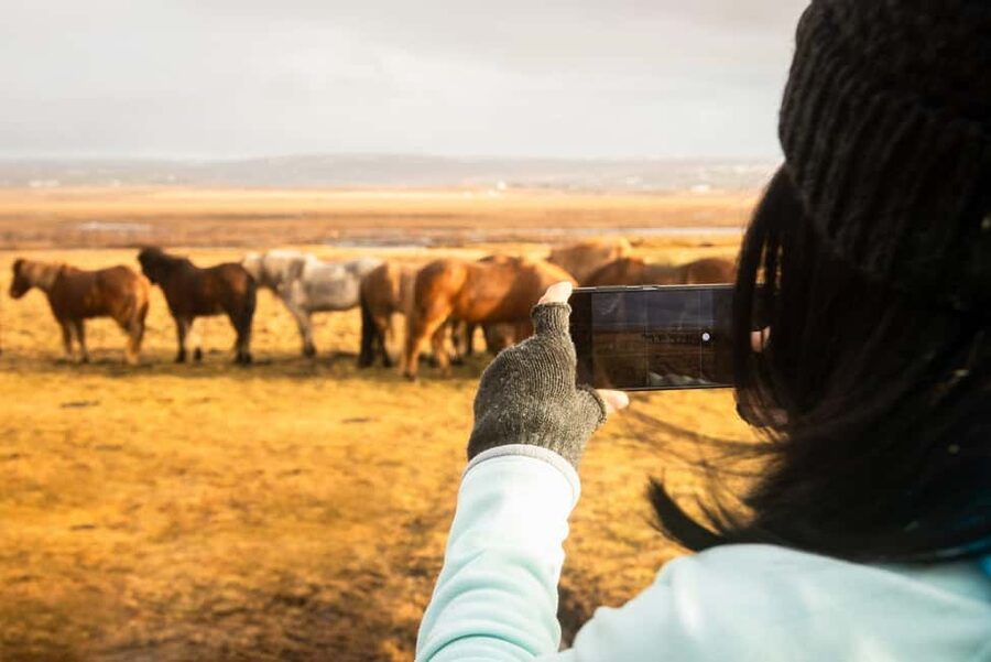 From Reykjavik: 3-Day Northern Lights Hunt & Glacier Lagoon - Should you book it?
