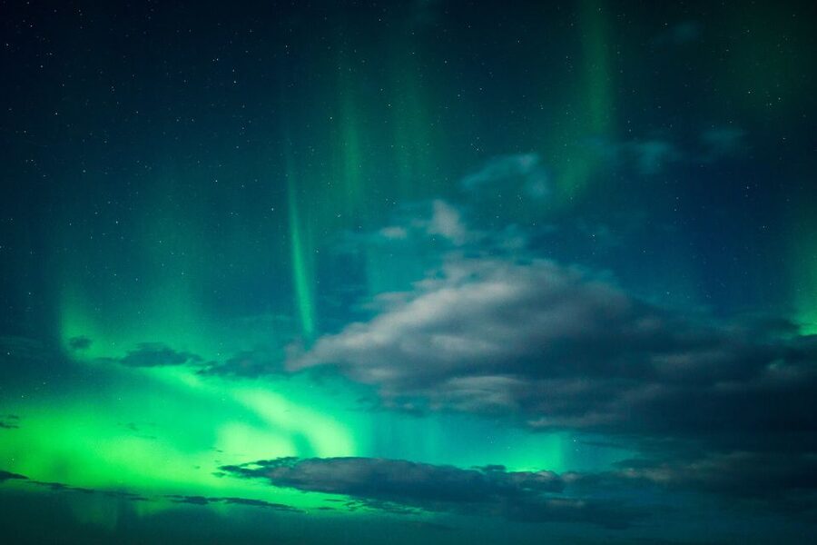From Reykjavik: Northern Lights Chase with Expert Guide - The bus, comfort, and group mood