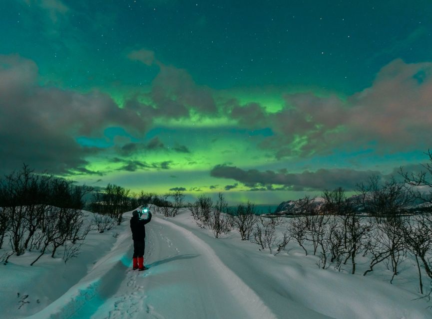 From Reykjavik: Northern Lights Chase with Expert Guide - Cancellations, retries, and timing advice