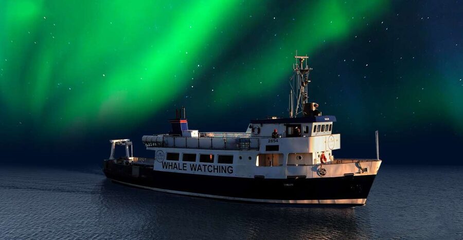 From Reykjavik: Northern Lights Sightseeing Cruise - Sailing out of Reykjavik’s Old Harbour