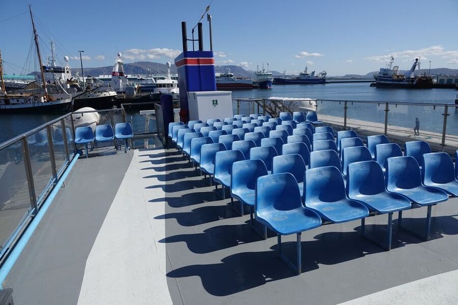 From Reykjavik: Northern Lights Sightseeing Cruise - Who should choose this Reykjavik cruise?