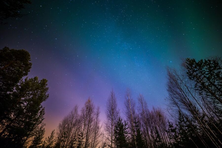 From Reykjavik: Northern Lights Tour - What happens when the sky finally opens