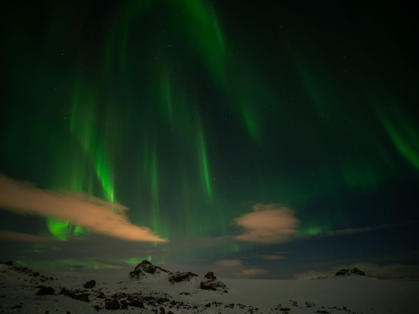 From Reykjavik: Northern Lights Tour with Hot Cocoa & Photos - The free photos are a serious benefit