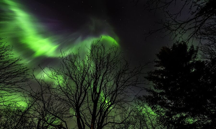 From Reykjavik: Northern Lights Tour with Lifetime Guarantee - The one-hour ride away from city lights