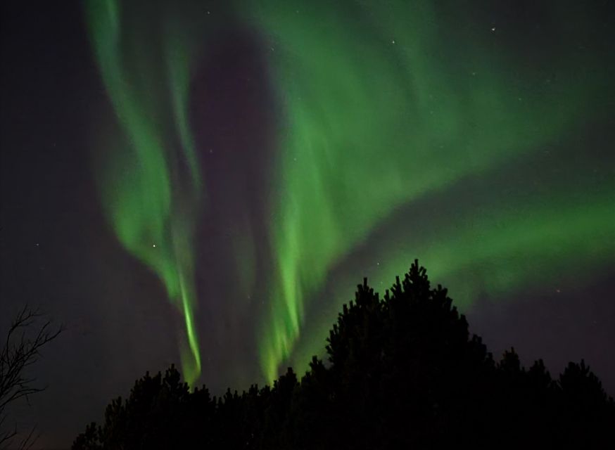 From Reykjavík: Spot the Northern Lights with Snacks & Drink - Is $207 a fair price?