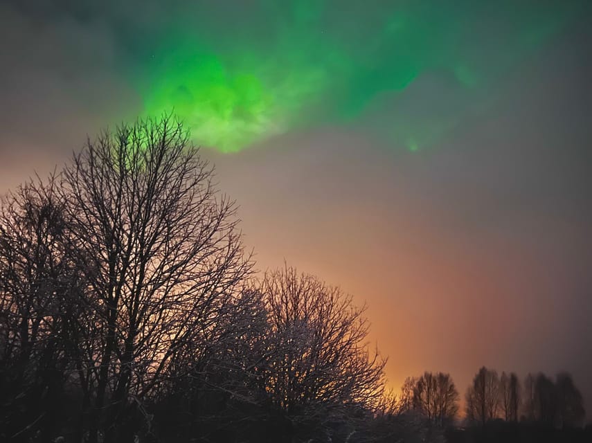 From Rovaniemi: Lapland Aurora Hunt with Barbeque - Key points to know before booking