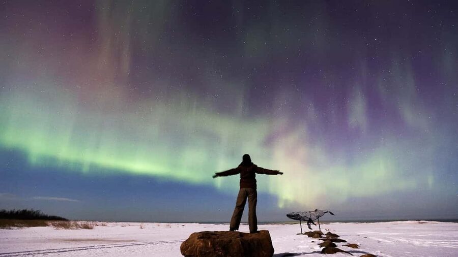 From Rovaniemi: Northern Lights Van Tour with Photos - Key points before you book