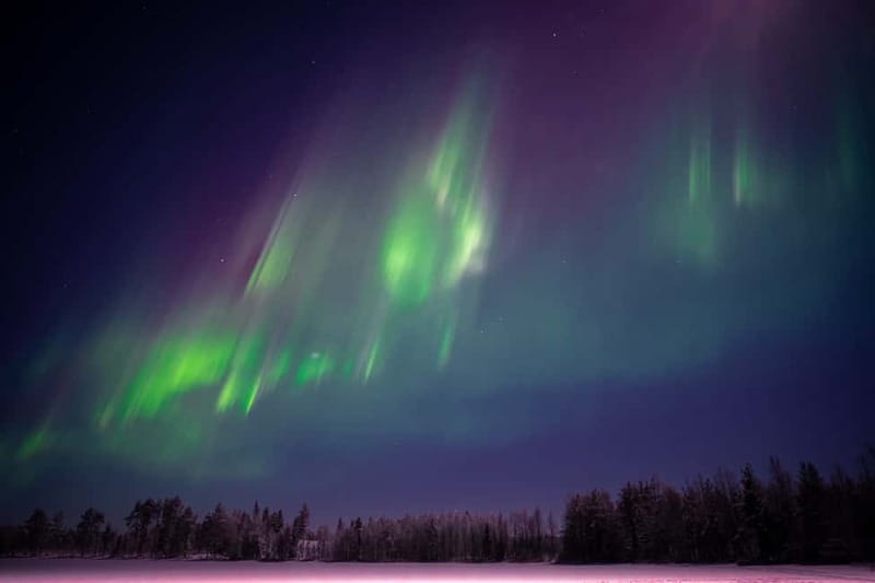 From Rovaniemi: Short Aurora Borealis Photography Expedition - What past bookings suggest about the guide service