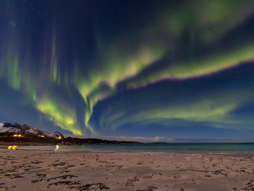 From Svolvær: Guided Northern Lights Tour by Van - Chasing clear skies from Svolvær