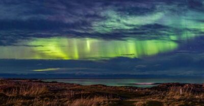 From Svolvær: Guided Northern Lights Tour by Van