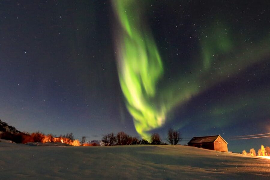 From Svolvaer: Private Northern Lights Search Trip - Key points to know before booking