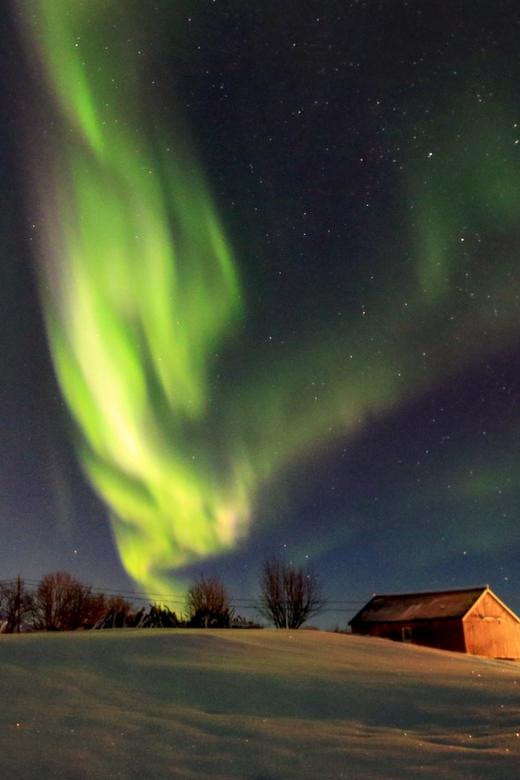 From Svolvaer: Private Northern Lights Search Trip - Meeting Andrea or Eric on the road