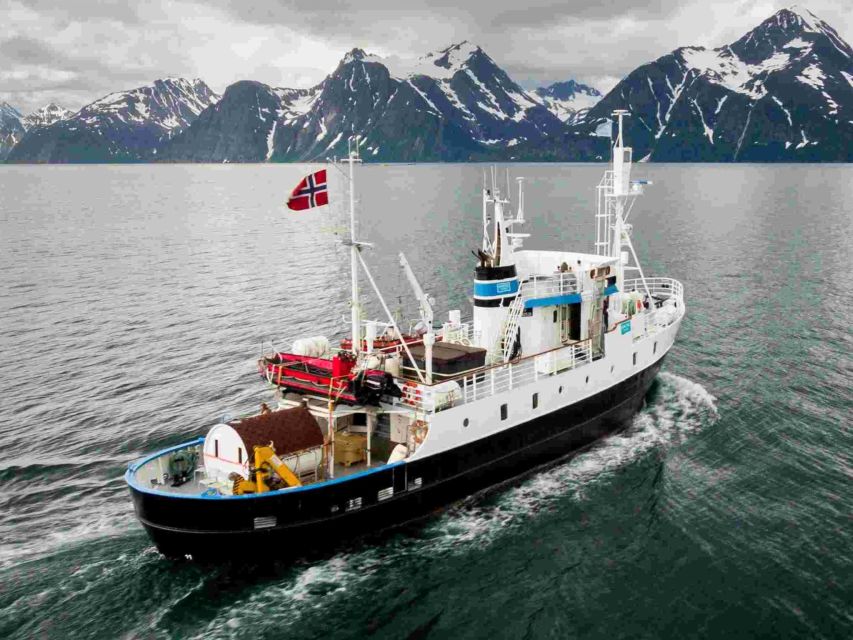 From Tromsø: Northern Lights Cruise on a Cozy Vintage Vessel - Why the old MS Strønstad changes the evening