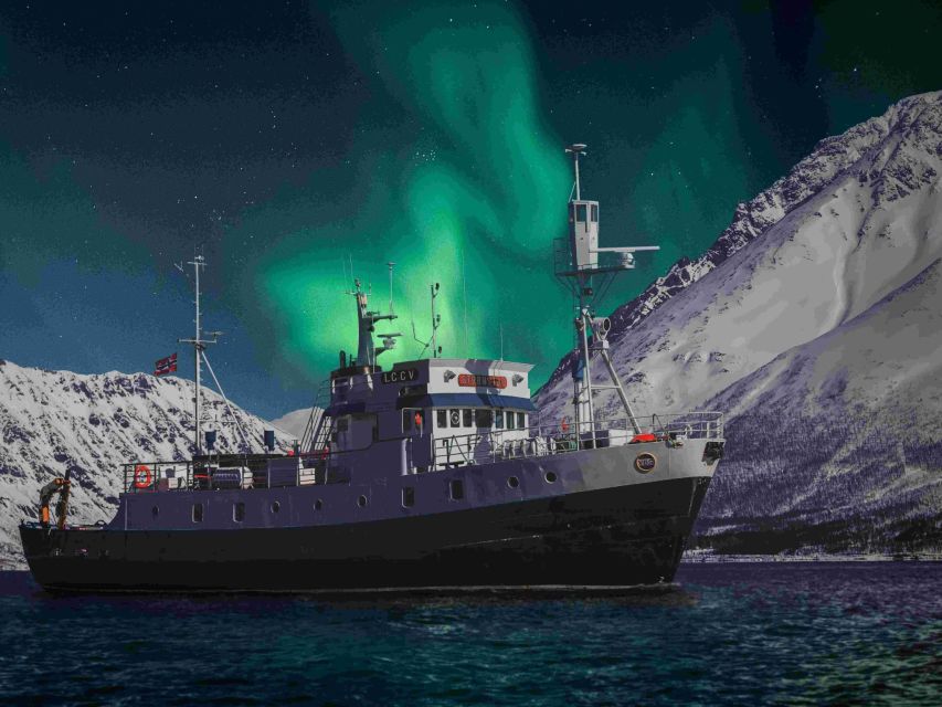 From Tromsø: Northern Lights Cruise on a Cozy Vintage Vessel - Starting at Full Steam Museum at 7 PM
