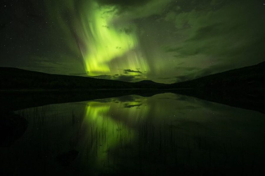 From Tromsø: Northern Lights Cruise on a Cozy Vintage Vessel - What makes the cruise family-friendly