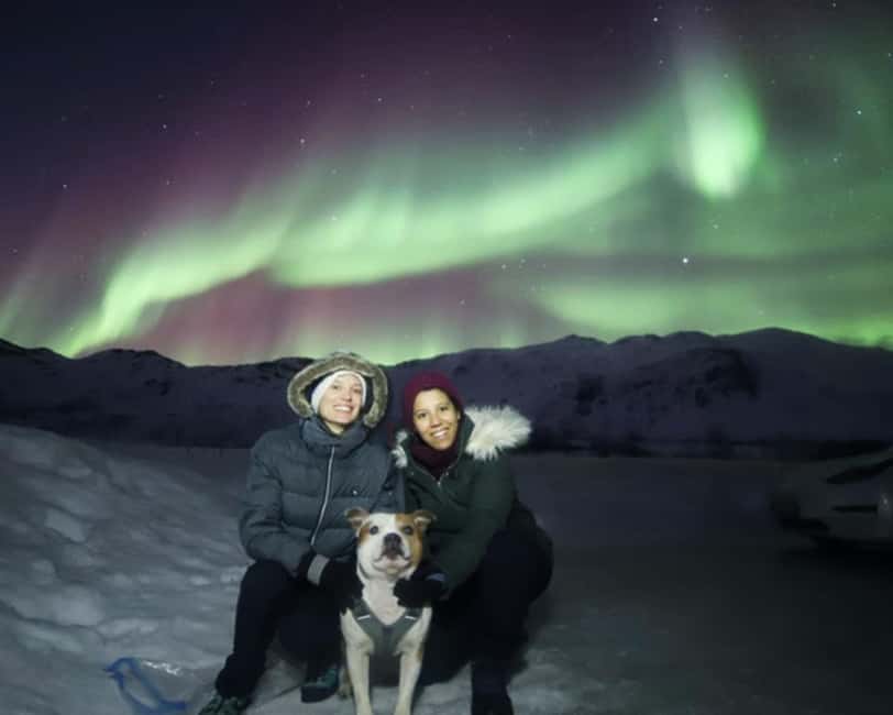 From Tromso: Northern Lights Photography Tour - Starting at Tromso Activities Hostel
