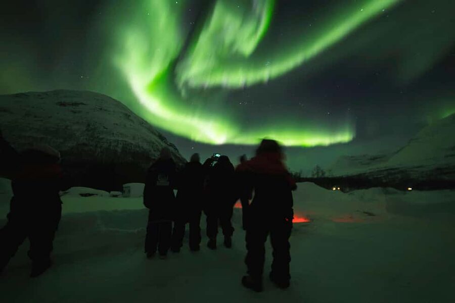 From Tromsø: Northern Lights Visit at Camp Tamok - Quick takeaways from the Camp Tamok evening