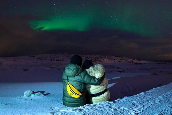 Golden Circle & Northern Lights Tour from Reykjavik - Starting at Bus Stop 12 in Reykjavik