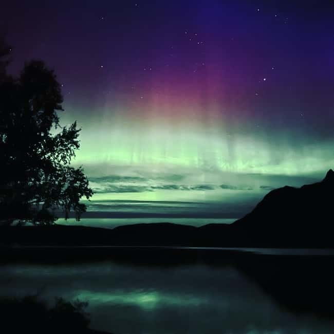 Harstad/Narvik: Northern Lights Tours with Second Day Chance - Key points at a glance