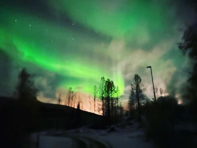 Harstad/Narvik: Northern Lights Tours with Second Day Chance - Daylight choices: mountains, fishing, and a barbecue