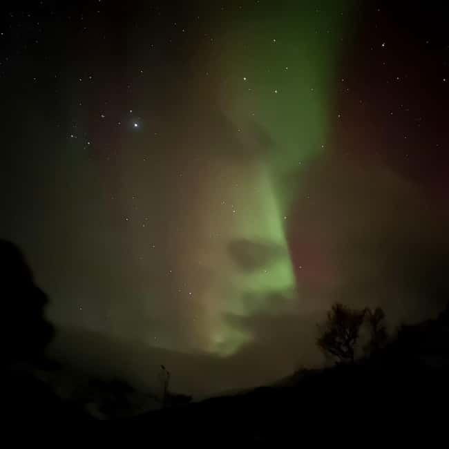Harstad/Narvik: Northern Lights Tours with Second Day Chance - How the evening search works
