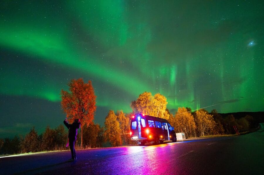 Harstad: Northern Lights Hunt on Hinnøya Island - The four-hour hunt through Arctic country