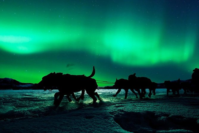 Hunting Northern Lights with Husky - The campfire stop: welcome warmth, modest meal