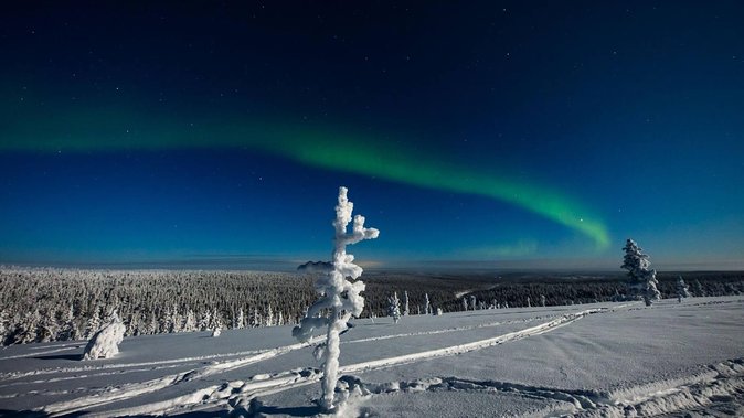 Hunting Northern Lights with Husky - What Northern Lights hunting really means here