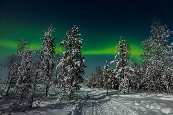 Hunting Northern Lights with Husky - Staying warm on the sled
