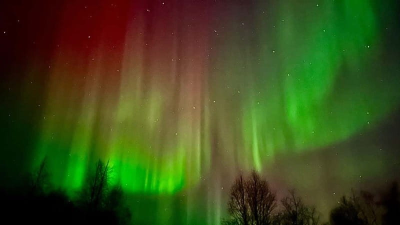 Inari/Ivalo: Aurora Hunting Tour by Car with Warm Drinks - Key points to know before booking
