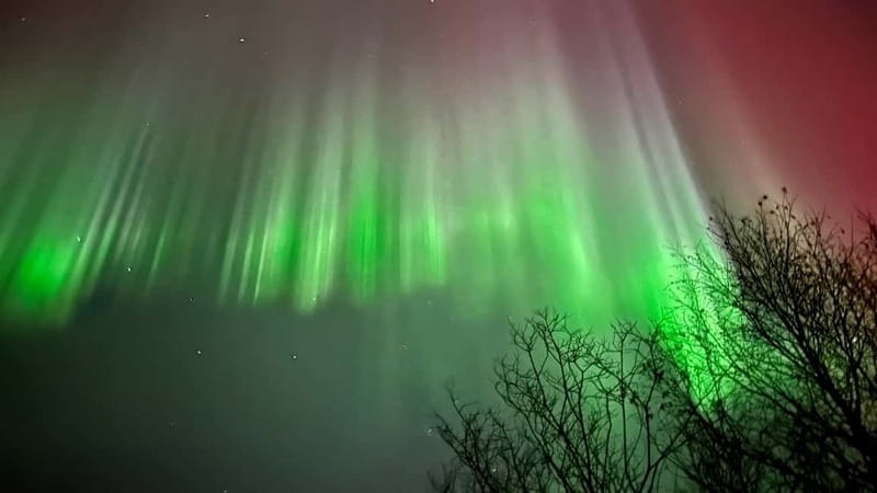Inari/Ivalo: Aurora Hunting Tour by Car with Warm Drinks - Why this Ivalo aurora hunt is different